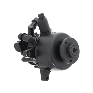 Power Steering Pump (Rebuilt) - 003466240180