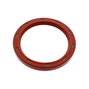 Crankcase Seal - 113105245F
