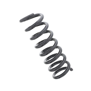Coil Spring - 2113240704