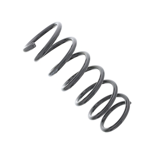 Coil Spring - 31300138