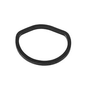 Oil Filter Housing Seal Ring - Housing to Timing Case - 1121840061