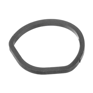 Oil Filter Housing Seal Ring - Housing to Timing Case - 1121840061