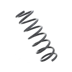 Coil Spring - 31300137