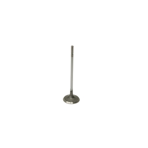 Intake Valve - LR002447