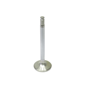 Exhaust Valve - 1020500327