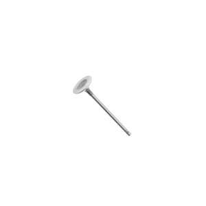 Intake Valve (30.0 mm) (5 mm Stem) - 11347533884