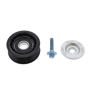 Drive Belt Idler Pulley (Grooved) - 1562020619