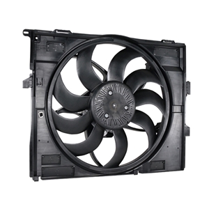 Cooling Fan Assembly with Shroud - 17428625440