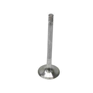 Exhaust Valve - 90410816