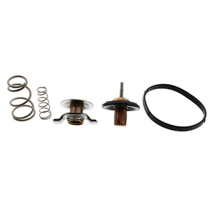 Thermostat - LR005765