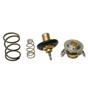 Thermostat - LR005765