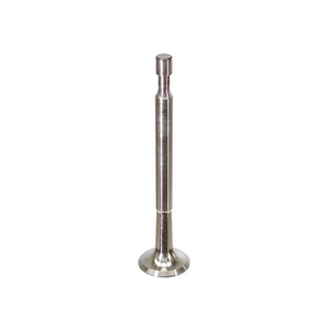 Exhaust Valve (31 mm) - 61610540550