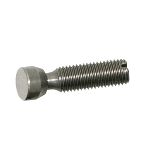Valve Adjusting Screw - 90110537002