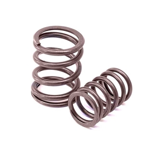 Valve Spring Set - 90110590151
