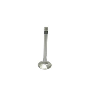 Exhaust Valve (38 mm) - 90110540850