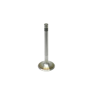 Intake Valve (42 mm) - 90110540700