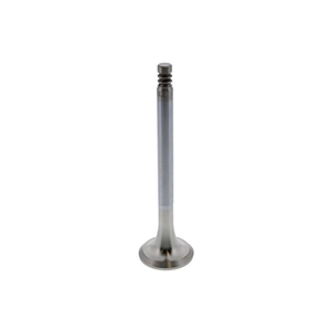 Exhaust Valve (33 mm) - 022109612D