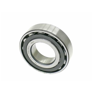 Main Shaft Bearing - 99911003200