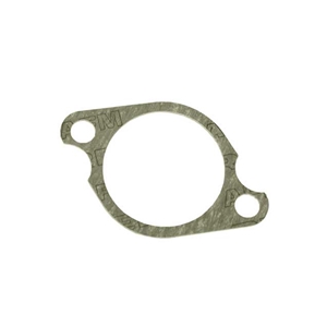 Intake Manifold Gasket - 100853391