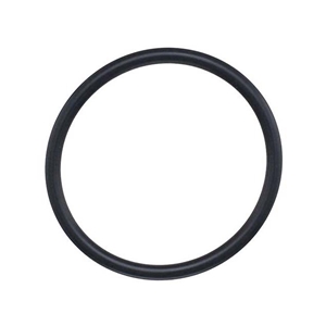 Thermostat O-Ring - 038121119B