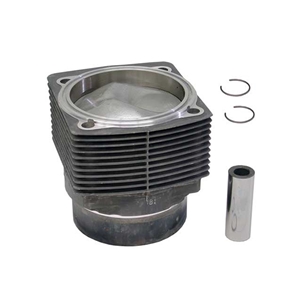 Piston and Cylinder (Euro 3.0 Liter, 95.0 mm, 9.8:1 Compression, Nikasil) - 990174916