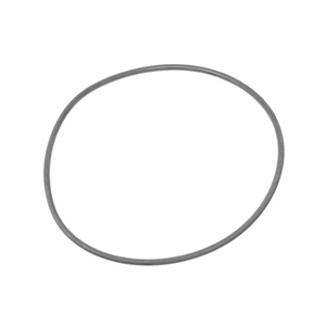O-Ring for Engine Oil Pump (98 X 3 mm) - 99970163340