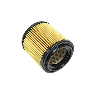 Secondary Air Injection Pump Filter - 92811344500