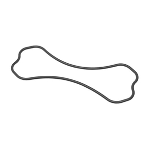 Engine Oil Filler Pipe Gasket