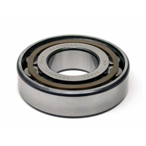 Pinion Shaft Bearing - 99911011901