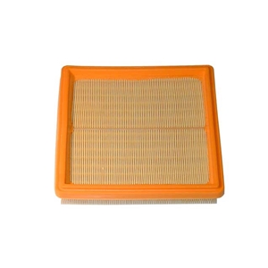 Air Filter - 96411032701