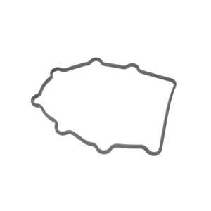 Chain Housing Gasket - 96410518101