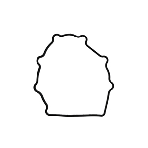 Chain Housing Gasket - 96410518101