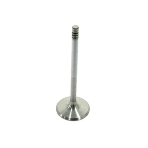 Intake Valve - 92810564106