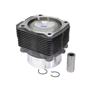 Piston and Cylinder (3.6 Liter, 100.0 mm, 11.3:1 Compression, Nikasil) - 99310391531