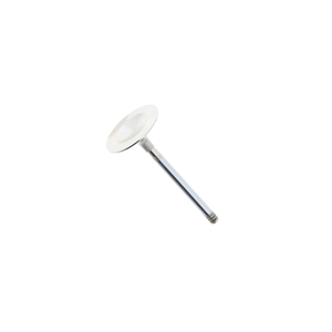 Intake Valve (50 mm) - 99310540502