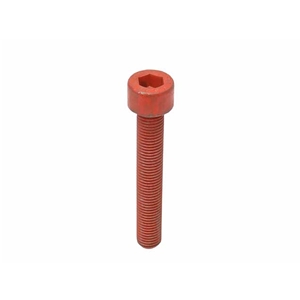 Brake Caliper Bolt (12 X 77 mm) - 99906704209
