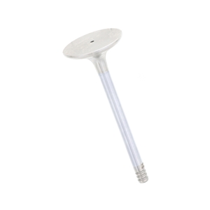 Exhaust Valve - 99310541984