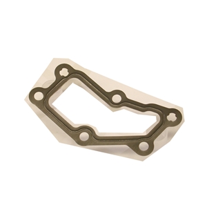 Gasket - Engine Case to Water Hose Flange - 99610133151