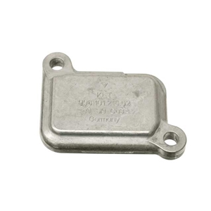 Engine Case Cover Plate - 99610101600