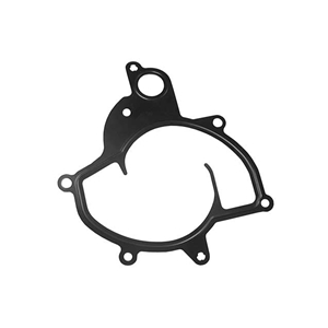 Water Pump Gasket - 99610634071