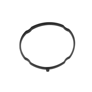 Throttle Body Seal - 99611031802