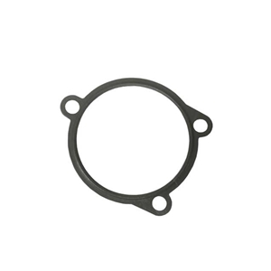 Thermostat Housing Gasket - 99610632671