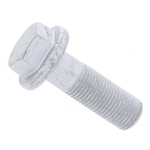 Brake Caliper Bolt (16 X 48 mm) - PAF906854