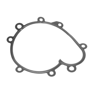 Water Pump Gasket - 94810611503