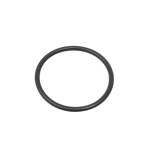 Water Hose O-Ring (46.7 X 3.53 mm) - 99610680103