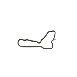 Seal - Coolant Manifold to Engine - 99710670900