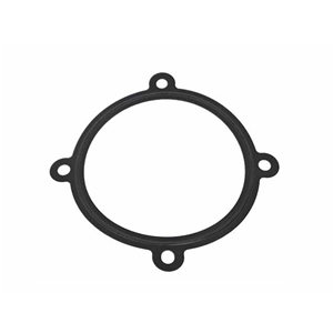 Throttle Body Seal - 99711031990
