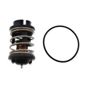 Thermostat - 95510612601