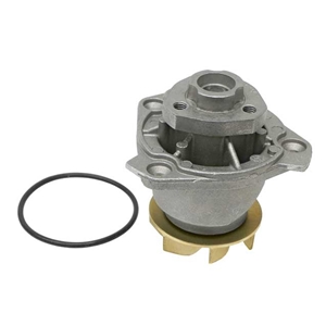 Water Pump with Gasket - 95510603301