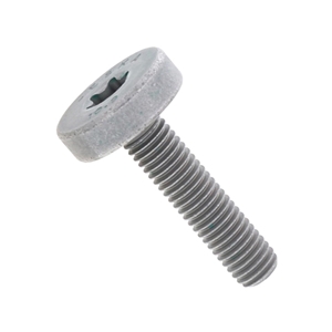 Drive Belt Tensioner Bolt (8 X 33 mm Torx) - PAF008362